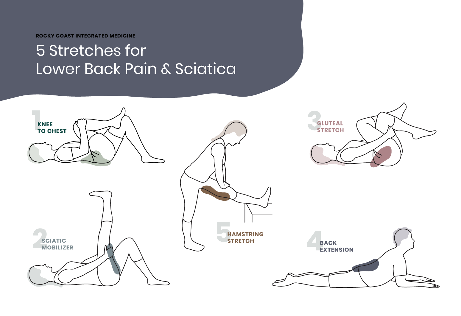 Exercises for Low Back Pain And Sciatica: Relief Tips